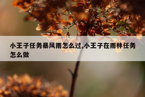 小王子任务暴风雨怎么过,小王子在雨林任务怎么做