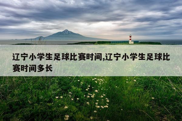 辽宁小学生足球比赛时间,辽宁小学生足球比赛时间多长