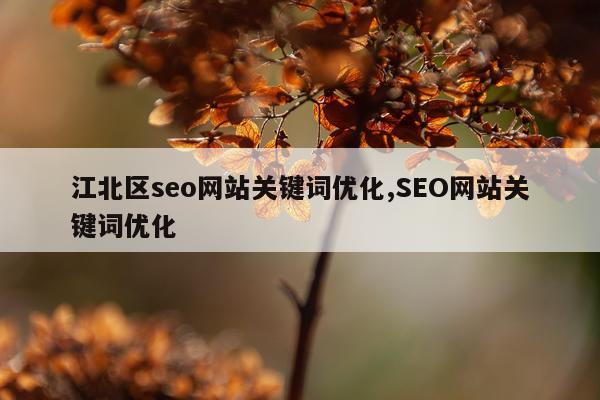 江北区seo网站关键词优化,SEO网站关键词优化