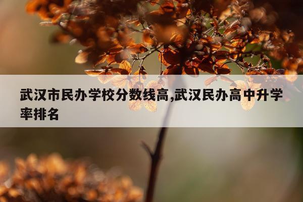 武汉市民办学校分数线高,武汉民办高中升学率排名