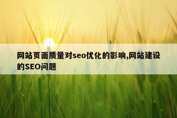 网站页面质量对seo优化的影响,网站建设的SEO问题