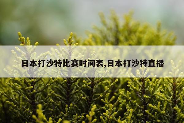 日本打沙特比赛时间表,日本打沙特直播