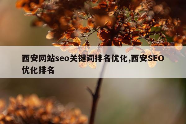 西安网站seo关键词排名优化,西安SEO优化排名