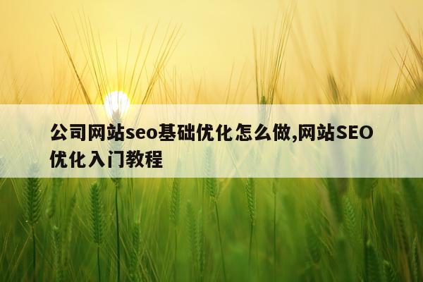 公司网站seo基础优化怎么做,网站SEO优化入门教程