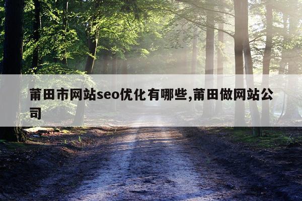 莆田市网站seo优化有哪些,莆田做网站公司