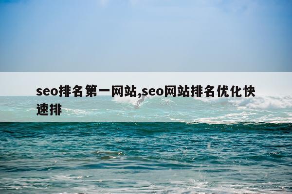 seo排名第一网站,seo网站排名优化快速排