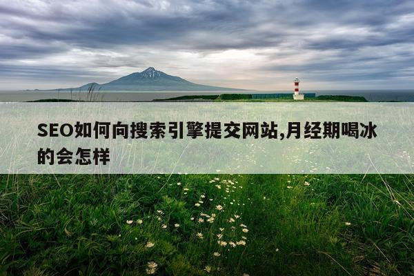 SEO如何向搜索引擎提交网站,月经期喝冰的会怎样