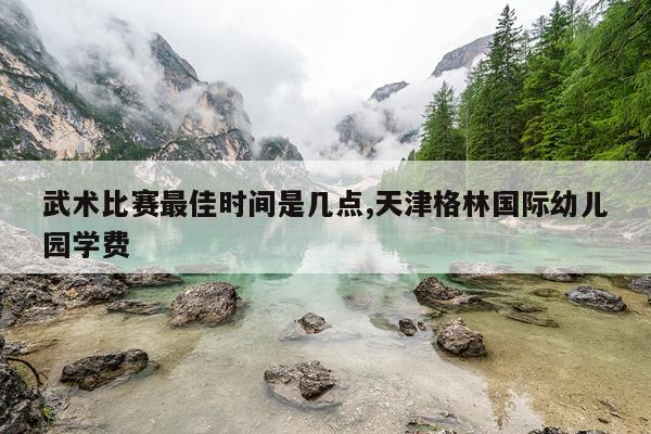 武术比赛最佳时间是几点,天津格林国际幼儿园学费