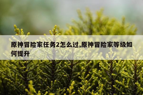 原神冒险家任务2怎么过,原神冒险家等级如何提升