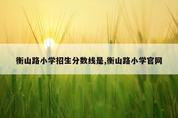 衡山路小学招生分数线是,衡山路小学官网
