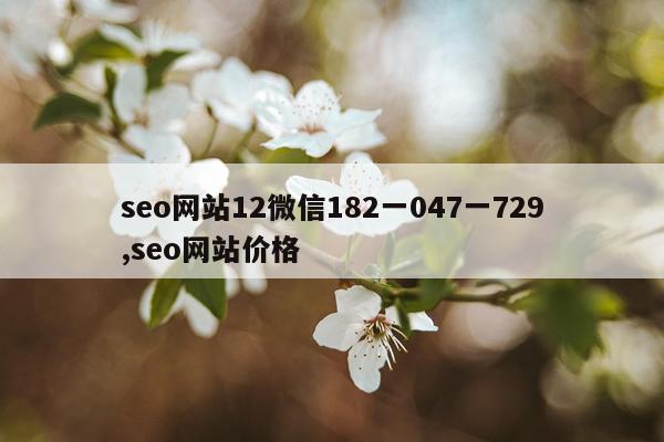 seo网站12微信182一047一729,seo网站价格
