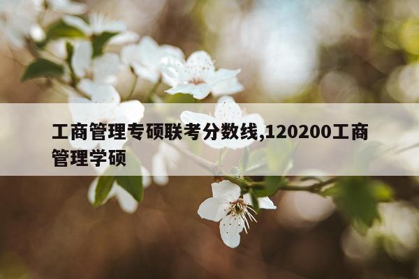 工商管理专硕联考分数线,120200工商管理学硕
