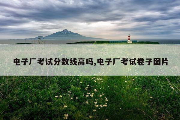 电子厂考试分数线高吗,电子厂考试卷子图片