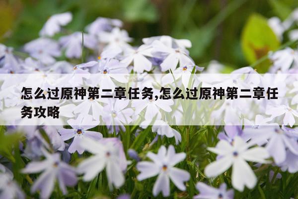 怎么过原神第二章任务,怎么过原神第二章任务攻略
