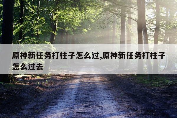 原神新任务打柱子怎么过,原神新任务打柱子怎么过去