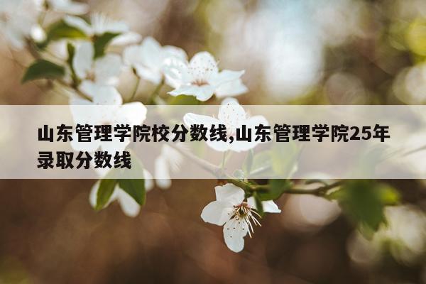 山东管理学院校分数线,山东管理学院25年录取分数线