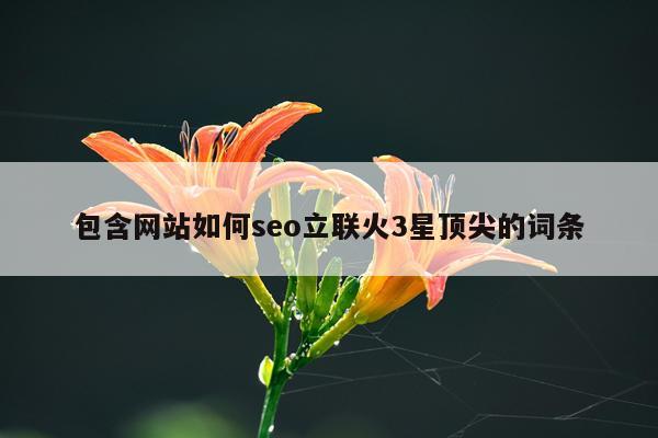 包含网站如何seo立联火3星顶尖的词条