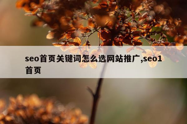 seo首页关键词怎么选网站推广,seo1首页