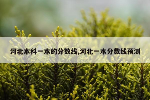 河北本科一本的分数线,河北一本分数线预测