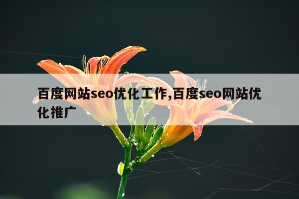 百度网站seo优化工作,百度seo网站优化推广
