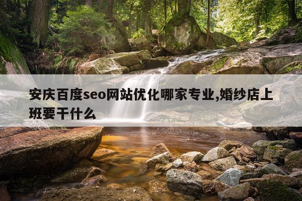 安庆百度seo网站优化哪家专业,婚纱店上班要干什么