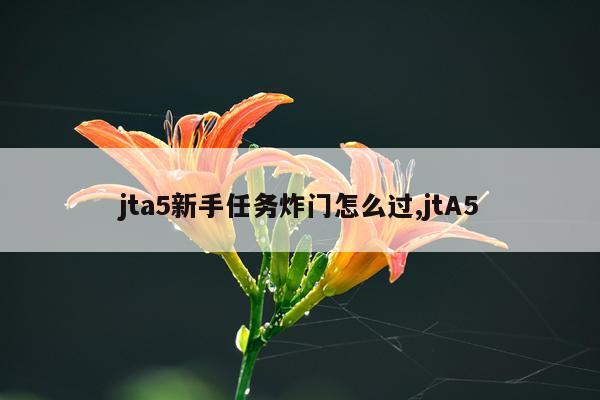 jta5新手任务炸门怎么过,jtA5