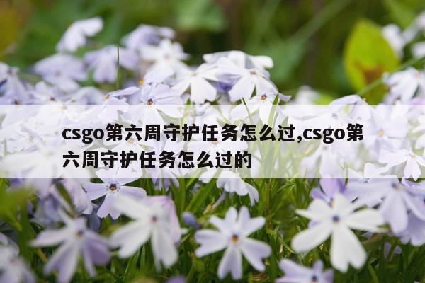 csgo第六周守护任务怎么过,csgo第六周守护任务怎么过的
