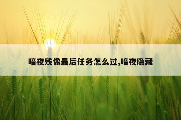 暗夜残像最后任务怎么过,暗夜隐藏