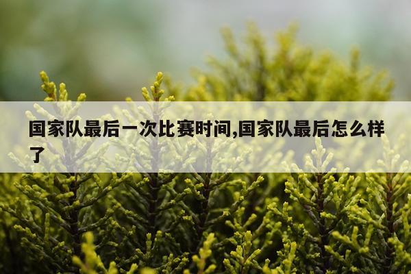 国家队最后一次比赛时间,国家队最后怎么样了