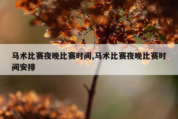 马术比赛夜晚比赛时间,马术比赛夜晚比赛时间安排