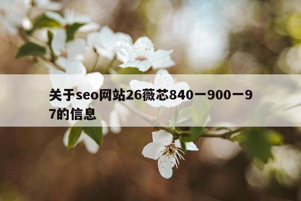 关于seo网站26薇芯840一900一97的信息