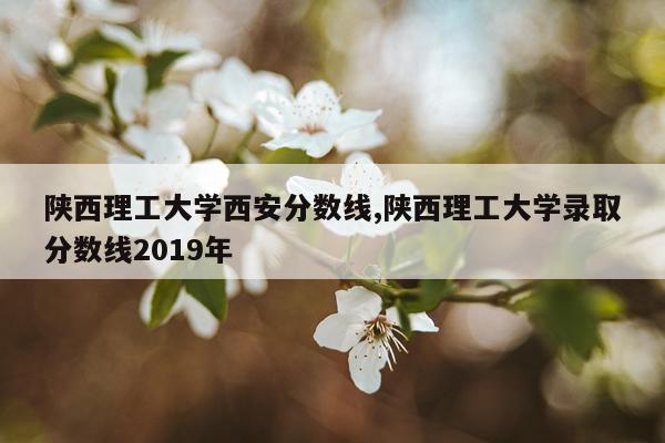 陕西理工大学西安分数线,陕西理工大学录取分数线2019年
