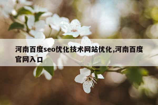河南百度seo优化技术网站优化,河南百度官网入口