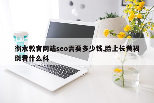 衡水教育网站seo需要多少钱,脸上长黄褐斑看什么科