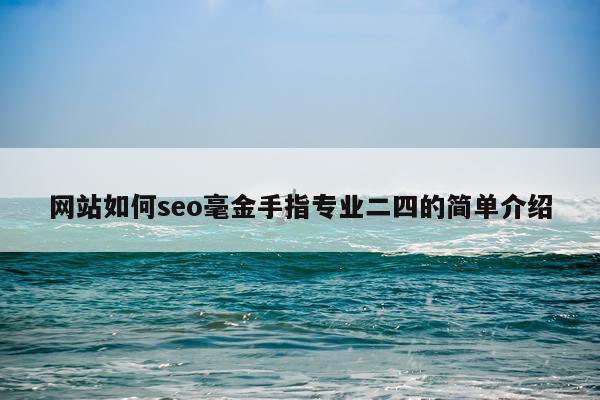 网站如何seo毫金手指专业二四的简单介绍