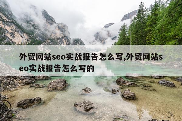 外贸网站seo实战报告怎么写,外贸网站seo实战报告怎么写的
