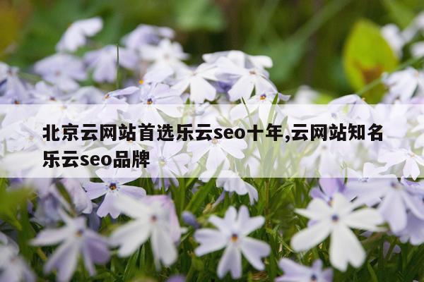 北京云网站首选乐云seo十年,云网站知名乐云seo品牌