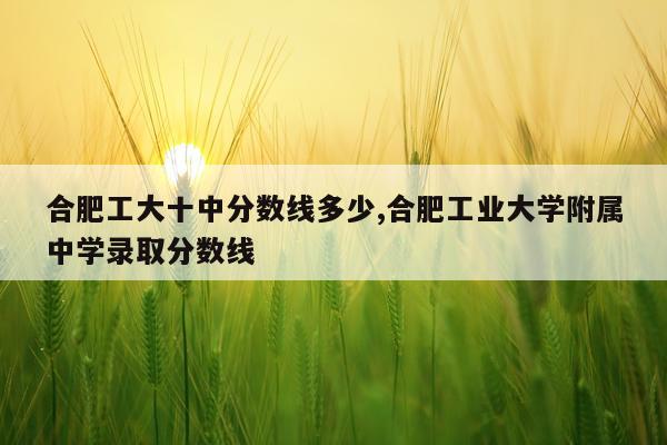 合肥工大十中分数线多少,合肥工业大学附属中学录取分数线