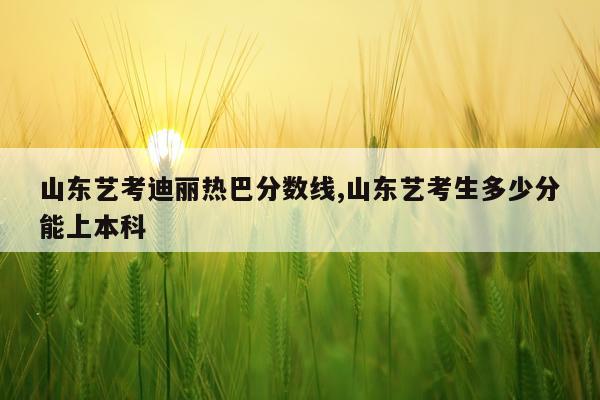 山东艺考迪丽热巴分数线,山东艺考生多少分能上本科