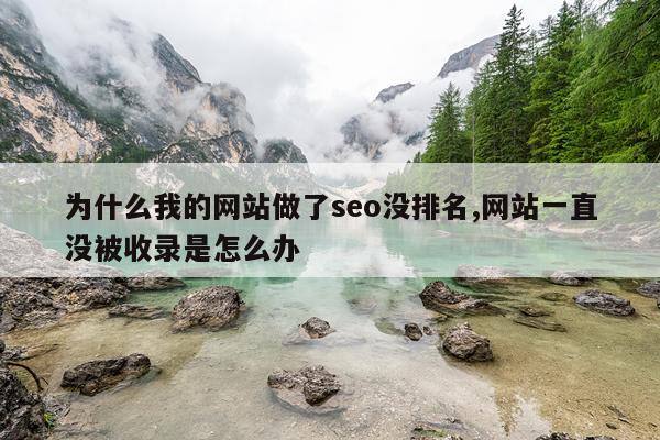 为什么我的网站做了seo没排名,网站一直没被收录是怎么办