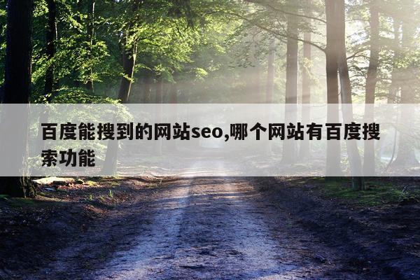 百度能搜到的网站seo,哪个网站有百度搜索功能