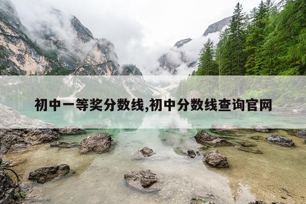 初中一等奖分数线,初中分数线查询官网