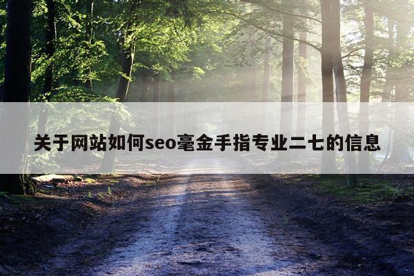 关于网站如何seo毫金手指专业二七的信息