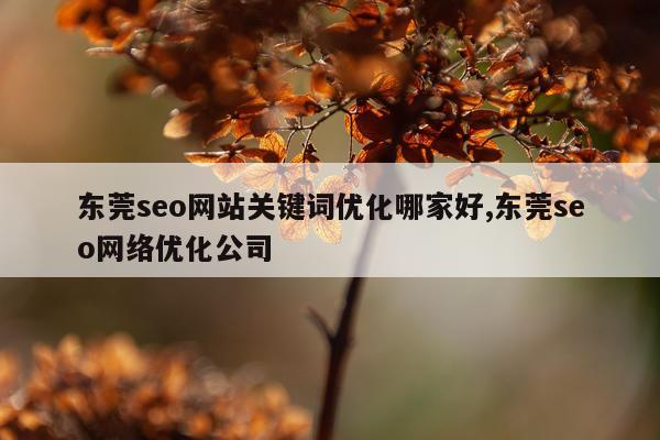 东莞seo网站关键词优化哪家好,东莞seo网络优化公司