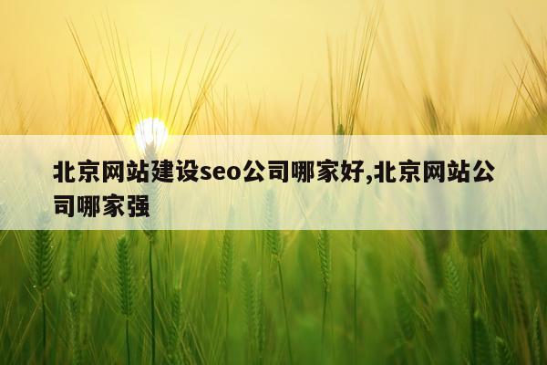 北京网站建设seo公司哪家好,北京网站公司哪家强