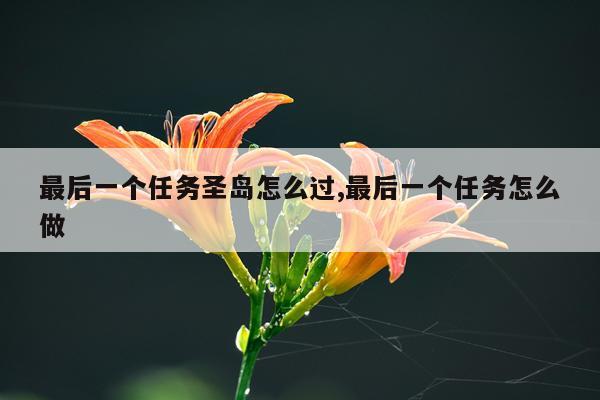 最后一个任务圣岛怎么过,最后一个任务怎么做