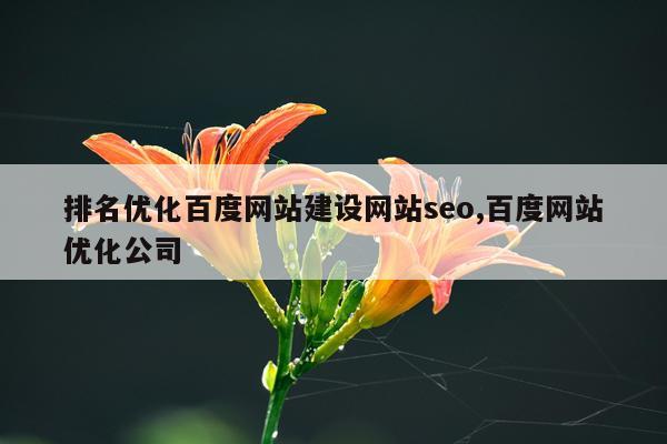 排名优化百度网站建设网站seo,百度网站优化公司