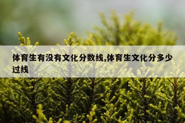 体育生有没有文化分数线,体育生文化分多少过线
