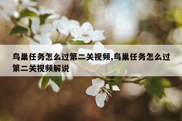 鸟巢任务怎么过第二关视频,鸟巢任务怎么过第二关视频解说