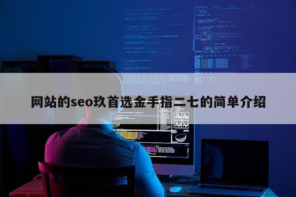 网站的seo玖首选金手指二七的简单介绍